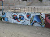 grafiti burgas kolibrici 3614