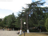 obzor